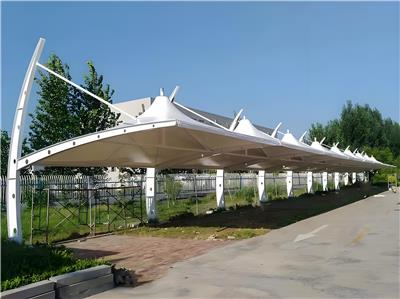 智能电动膜结构价格解析 从技术到市场的全面指南
